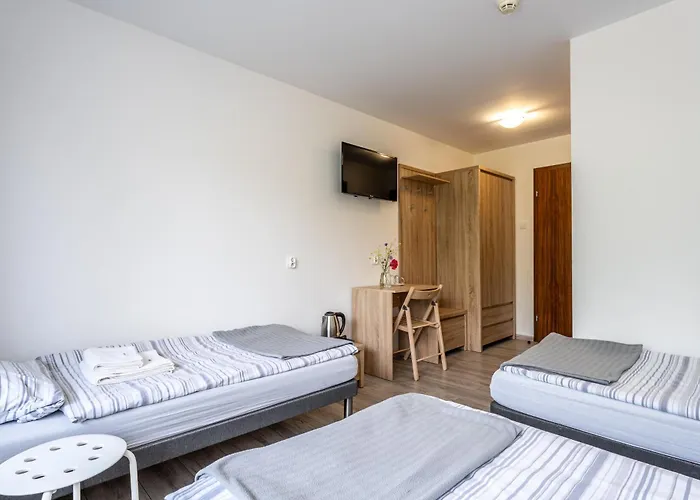 Hotel Diuna Beskidy - *