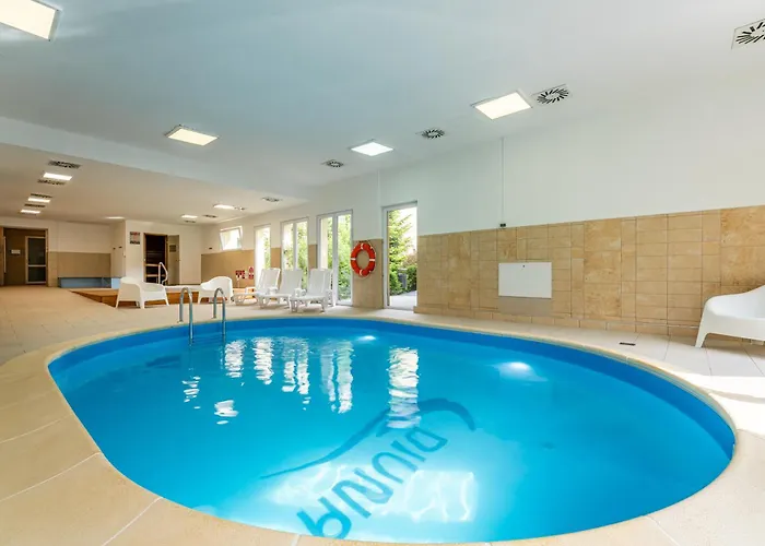 Hotel Diuna Beskidy - *